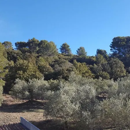 La Maison Dans L'olivette *