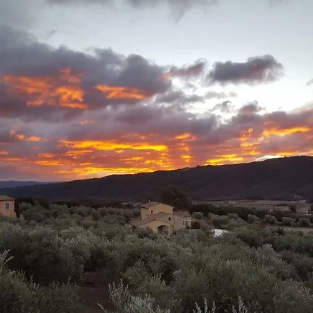 게스트하우스 La Maison Dans L'olivette