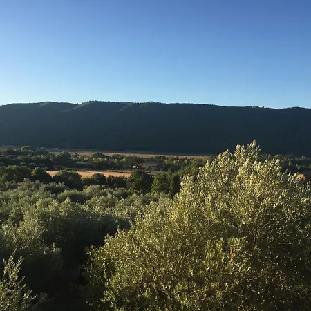 La Maison Dans L'olivette 게스트하우스 오레종