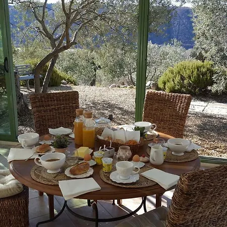 게스트하우스 La Maison Dans L'olivette