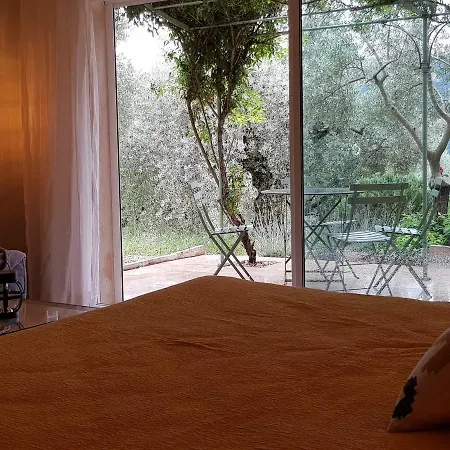 La Maison Dans L'olivette